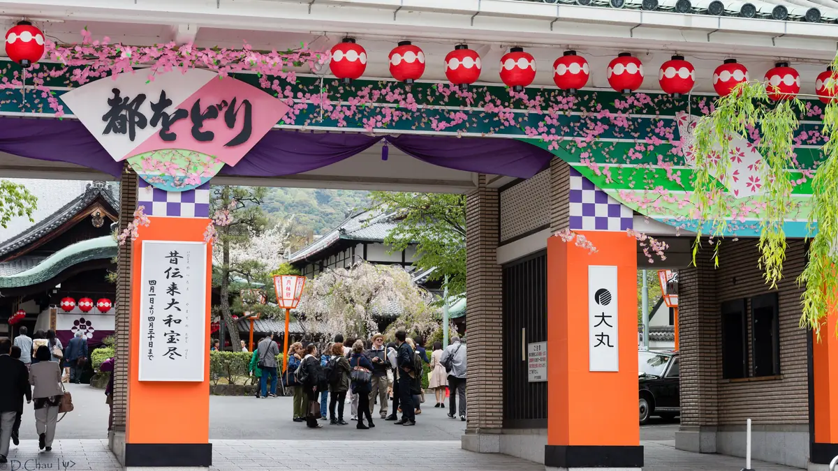 The decorated entrance to the Kaburen-jo theatre in Gion during the Miyako Odori, with red lanterns, pink blossom garlands and a crowd of visitors