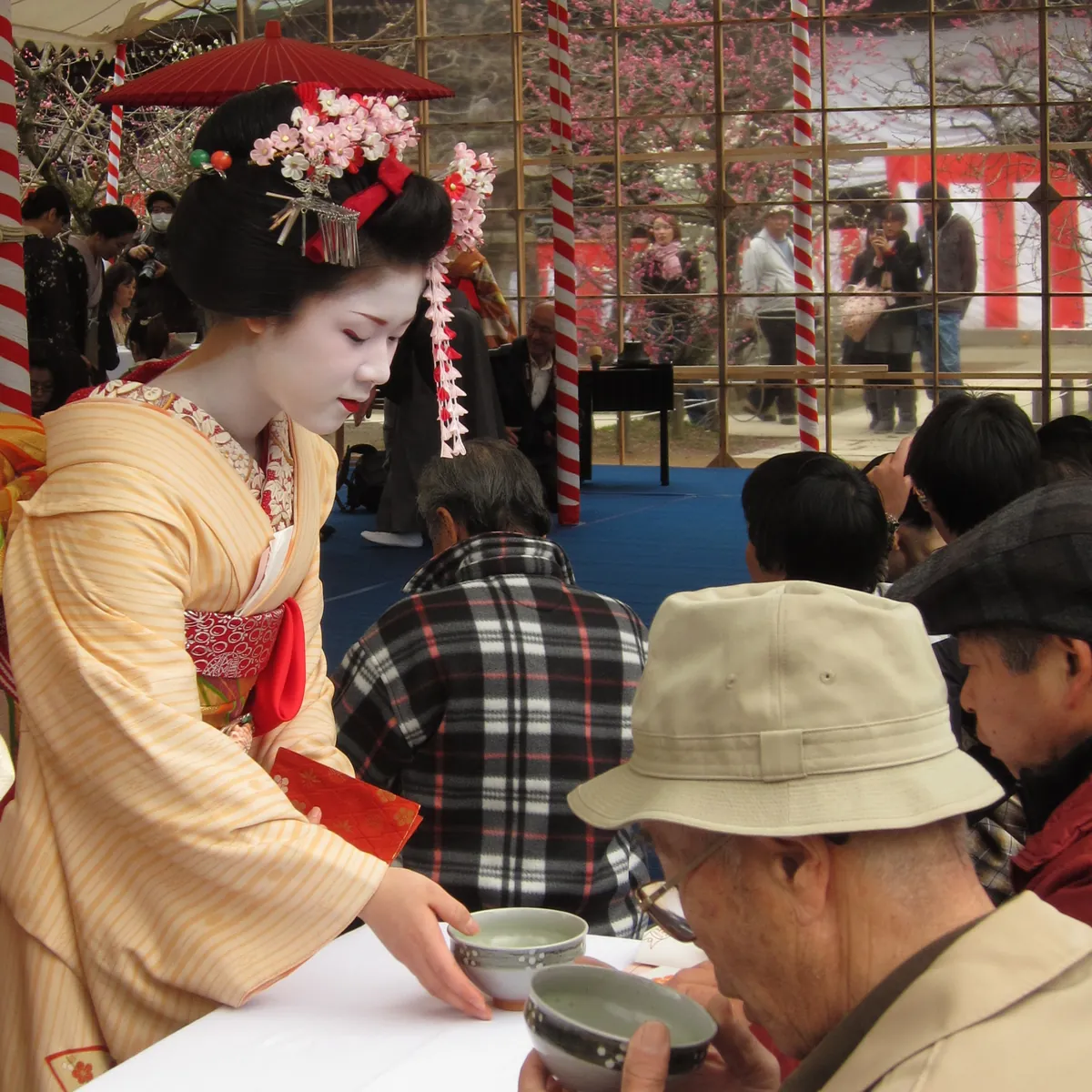 A maiko in a yellow striped kimono with pink flower hair ornaments sets a tea bowl on a white table in front of a seated visitor in a sun hat at the Kitano Tenmangū plum festival